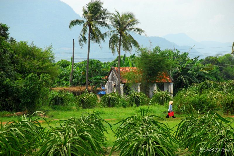 Homeward.jpg - On the train, Phan Thiet to Saigon