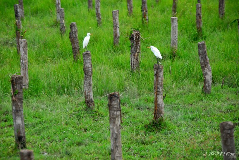 Postings.jpg - On the train, Phan Thiet to Saigon