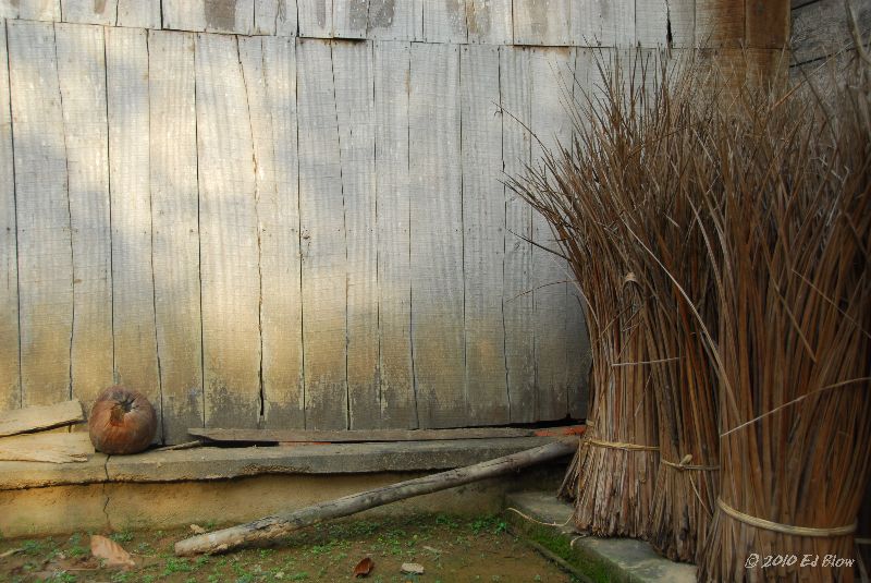 Still life with coconut