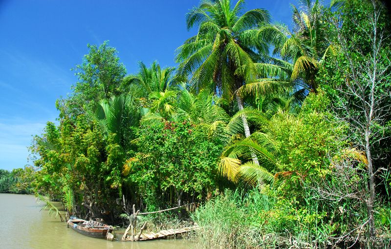 Mekong Delta