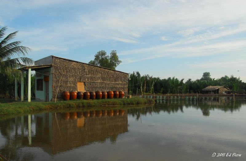 House with clay pots