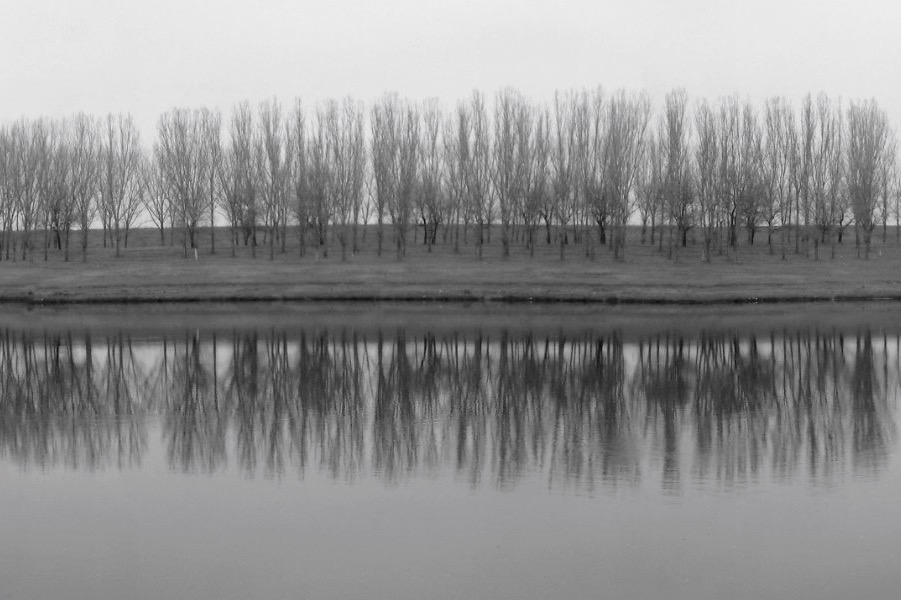 Trees and River