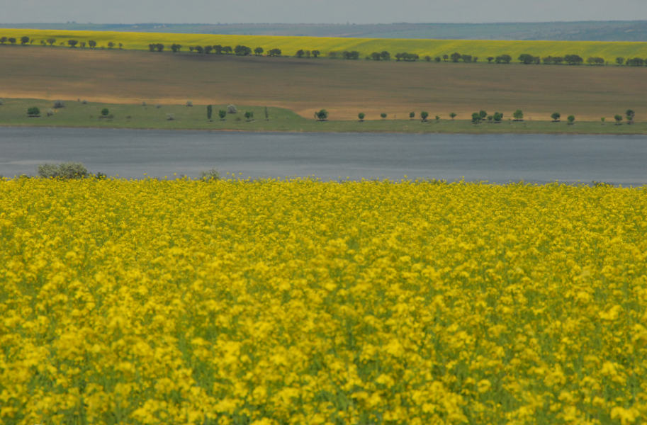 Lake Taraclia