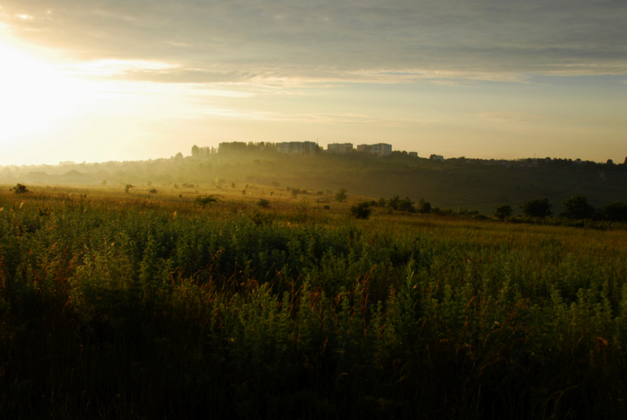 Summer Light