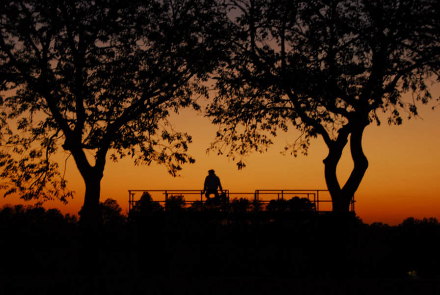 Sunset at the Park